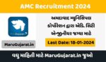 amc recruitment 2024